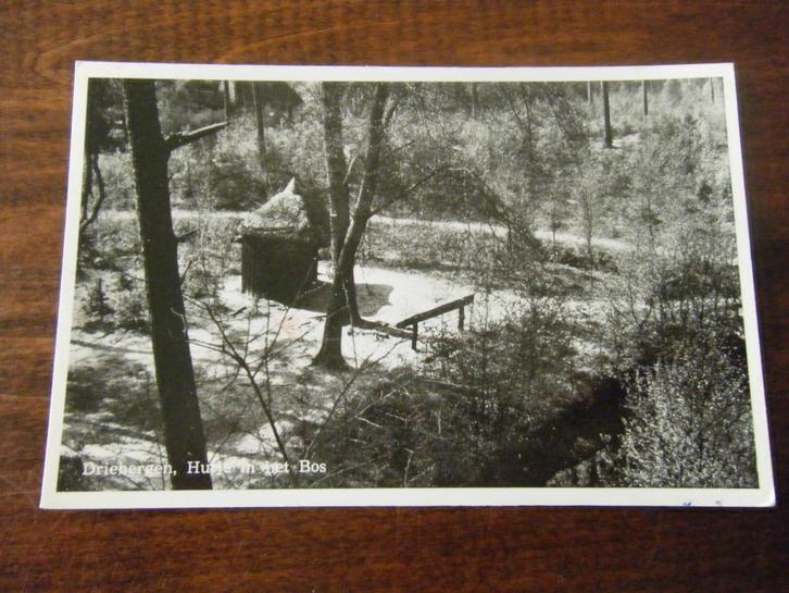 Y29 - Driebergen - Huisje in het bos - Mooi/Oud, Verzamelen, Ansichtkaarten | Nederland, Utrecht, 1960 tot 1980, Ophalen of Verzenden