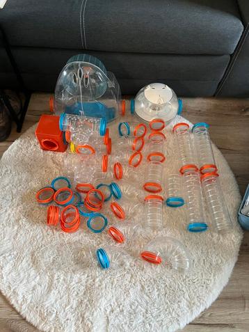 Heel veel hamster buizen beschikbaar voor biedingen