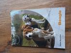 J. Verschure - De Beagle, J. Verschure, Honden, Ophalen of Verzenden, Zo goed als nieuw