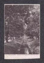 Suriname Paramaribo Steenbakkersgracht Tamarinden., Verzamelen, Ansichtkaarten | Buitenland, Ophalen of Verzenden, Voor 1920, Ongelopen