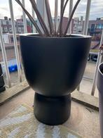 Elho bloempot op voet Pure Zwart D 34,9 H 49 cm, Tuin en Terras, Bloempotten, Kunststof, Gebruikt, Rond, Binnen