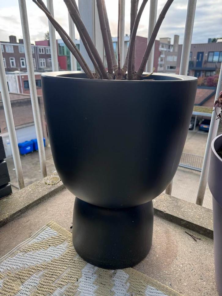 Elho bloempot op voet Pure Zwart D 34,9 H 49 cm, Tuin en Terras, Bloempotten, Gebruikt, Kunststof, Binnen, 40 tot 70 cm, 25 tot 40 cm