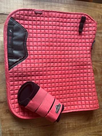 Lemieux papaya beschikbaar voor biedingen