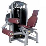 TechnoGym Leg Curl, Ophalen, Zo goed als nieuw, Overige typen