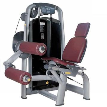 TechnoGym Leg Curl  beschikbaar voor biedingen