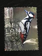 2291 Nederland 2020 NVPH 3868 Beleef Bos/Heidevogels - bonte, Ophalen of Verzenden, Na 1940, Gestempeld