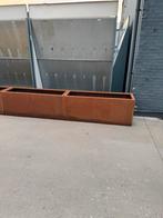Adezz bloembak carrez 150x50x60 cortenstaal, Ophalen, Zo goed als nieuw, Metaal