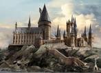 Harry Potter behang Zweinstein Hogwarts * Muurdeco4kids, Verzenden, Nieuw, Wanddecoratie