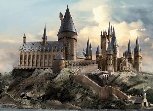 Harry Potter behang Zweinstein Hogwarts * Muurdeco4kids, Kinderen en Baby's, Kinderkamer | Inrichting en Decoratie, Nieuw, Wanddecoratie