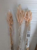 Droogbloemen / lagarus, Huis en Inrichting, Woonaccessoires | Droogbloemen, Ophalen of Verzenden, Zo goed als nieuw