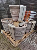 Terracotta potterie met druivenrank bijna uitverkocht, Ophalen, Rond, Nieuw, Tuin