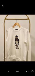 Ralph Lauren Polo Bear Sweatshirt XL Nieuw, Ophalen of Verzenden, Nieuw, Maat 46/48 (XL) of groter, Wit