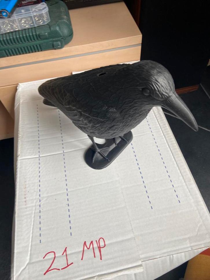2 Splinternieuwe nepkraaien vogelverschrikkers, Dieren en Toebehoren, Vogels | Overige Vogels, Tropenvogel, Mannelijk