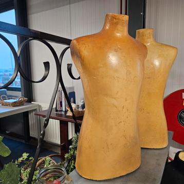 Torso s beschikbaar voor biedingen