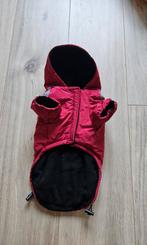 Rode regenjas voorkleine hond, Dieren en Toebehoren, Hondenkleding, Ophalen, Nieuw, Hondenjas