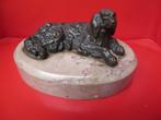 vintage antieke bronzen hond op marmer sokkel., Ophalen of Verzenden, Brons