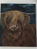 schilderij schotse hooglander, Ophalen, Nieuw, Schilderij, 50 tot 75 cm
