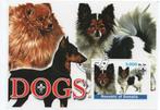 Honden, Dogs - Somalia 2003 - Gestempeld, Verzenden, Gestempeld, Dier of Natuur