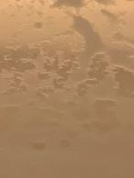 Micro worm ent - 90 gr - Zeer goede kwaliteit, Dieren en Toebehoren, Ophalen of Verzenden, Nieuw, Overige typen