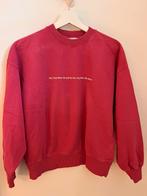 Trui van Les Coyotes de Paris, Kleding | Dames, Ophalen of Verzenden, Zo goed als nieuw, Maat 38/40 (M), Roze
