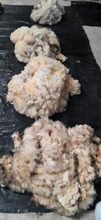 Schapenwol van Noord Hollander schapen, Hobby en Vrije tijd, Spinnewielen en Spinnen, Ophalen of Verzenden, Zo goed als nieuw
