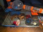 Hamsterkooi, Dieren en Toebehoren, Ophalen of Verzenden, Minder dan 75 cm, Kooi, Minder dan 60 cm