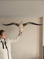 Gewei - Dierenhoofd met hoorns, Huis en Inrichting, Ophalen, Gebruikt