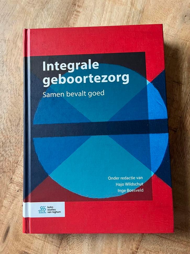 Hajo Wildschut - Integrale geboortezorg, Boeken, Wetenschap, Zo goed als nieuw, Sociale wetenschap, Ophalen of Verzenden