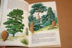Bomen. Buitengids., Ophalen of Verzenden, Gelezen, Bloemen, Planten en Bomen