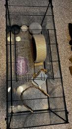 Hamsterhok glas met toebehoren. Knaagdierhok, Dieren en Toebehoren, Knaagdieren en Konijnen | Hokken en Kooien, Gebruikt, Hamster