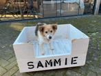 Gratis Sterke houten honden mand, Dieren en Toebehoren, Ophalen, Gebruikt, Overige