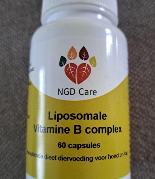 Vitamine B complex hond/kat NGD care, Dieren en Toebehoren, Dierenvoeding, Hond, Ophalen of Verzenden