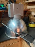 Industriële Philips fabriekslamp, Ophalen, Gebruikt, Minder dan 50 cm