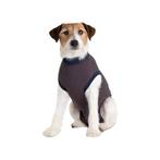 Jacketz Medical Body Suit voor honden Maat Xs, Ophalen of Verzenden, Zo goed als nieuw