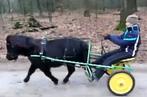 Sulky HCA 16 inch, Ophalen, Gebruikt, Overige soorten