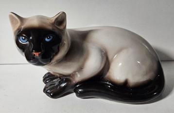 Siamese kat beeld beschikbaar voor biedingen