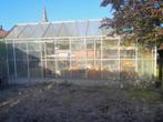 Tuinkas, Tuin en Terras, Kassen, Ophalen, Glas, Gebruikt, Aluminium