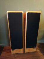 Translator Heliodoor Hans Baan, Audio, Tv en Foto, Luidsprekers, Gebruikt, 60 tot 120 watt, Front, Rear of Stereo speakers, Ophalen