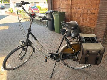 Gazelle Solide beschikbaar voor biedingen