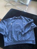 Zara sweater maat L, Ophalen of Verzenden, Zo goed als nieuw, Blauw