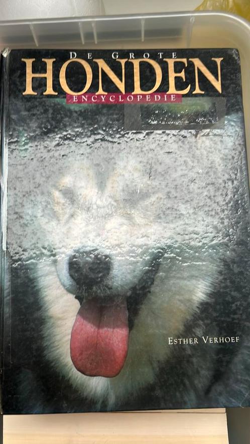 Esther Verhoef - De grote honden encyclopedie, Boeken, Dieren en Huisdieren, Zo goed als nieuw, Ophalen of Verzenden