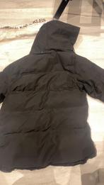 Moose Knuckles Jas, Zwart, Nieuw, Ophalen of Verzenden, Maat 38/40 (M)