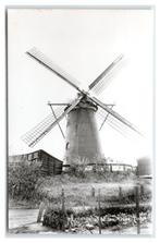 Oude-Tonge, Windkorenmolen "Korenbloem", Verzamelen, Ansichtkaarten | Nederland, Verzenden, 1960 tot 1980, Ongelopen, Zuid-Holland