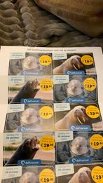 10 kortingspassen dolfinarium voor 8pers. Per pas, Tickets en Kaartjes, Drie personen of meer, Kortingsbon, Arrangement, Overige typen