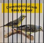 Mooi koppel mozambiquesijzen, Meerdere dieren, Tropenvogel, Geringd