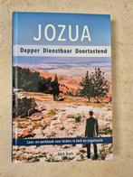 Jozua Dapper Dienstbaar Doortastend- Dick Both, Boeken, Ophalen of Verzenden, Zo goed als nieuw, Dick Both, Christendom | Protestants