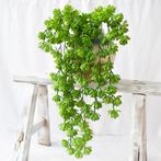 Lotus Vetplant Kunstplant / Hang Plant Hangplant Kunst Nep, Verzenden, Nieuw