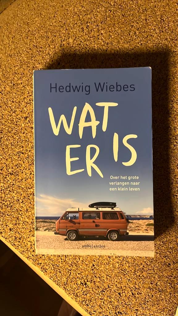 Hedwig Wiebes - Wat er is, Boeken, Overige Boeken, Zo goed als nieuw, Ophalen of Verzenden