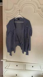 Vest zuza, Kleding | Dames, Grote Maten, Ophalen of Verzenden, Zo goed als nieuw