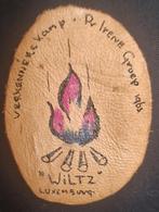 Lederen patch Verkenners kamp Pr. Irene Groep 1963 WILTZ, Verzamelen, Scouting, Ophalen of Verzenden, Gebruikt, Embleem, Speld of Insigne